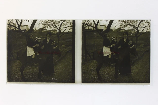 Famille France Photo Stereo Amateur P50L6n32 Plaque de verre Vintage c1910
