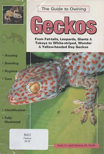 The Guide to Owning Geckos NEW Book Breeding Vivarium