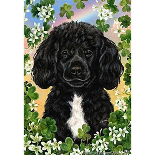 Clover House Flag - Black and White Portuguese Water Dog 31489
