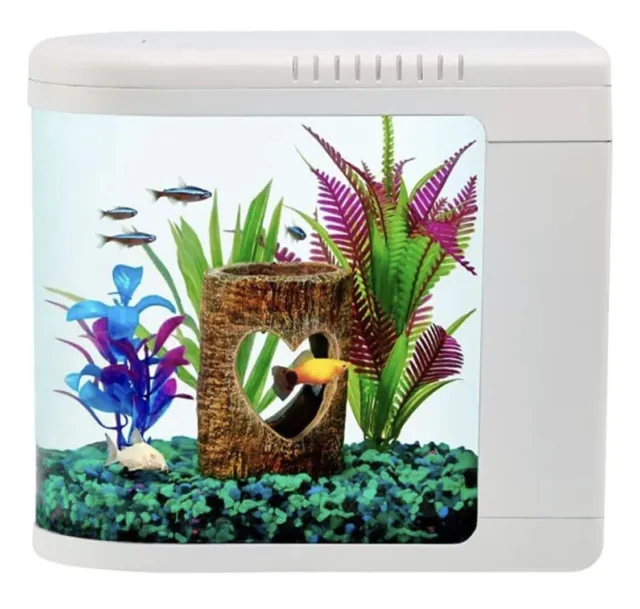 Top Fin “Fish-Eye View” Modern Fish Tank 2 Gallon Aquarium - LED Lights & Filter