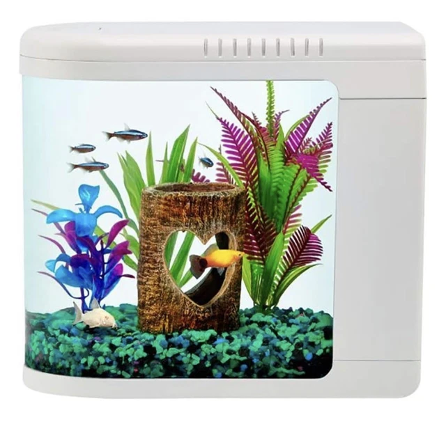  PONDON Betta Fish Tank, 2 Gallon Glass Aquarium, 3 in 1 Fish  Tank with Filter and Light, Desktop Small Fish Tank for Betta Fish, Shrimp,  Goldfish (Black) : Pet Supplies