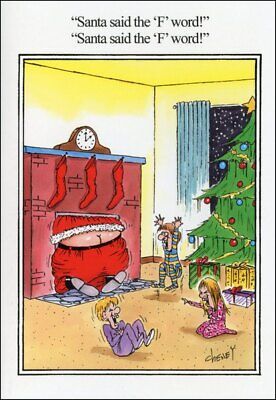 Santa Said F Word - Box of 12 Funny Christmas Cards