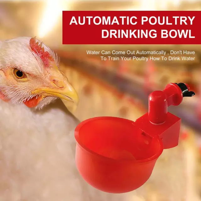 Automatic Chicken Waterer 1/6/12 Pieces Poultry Watering Feeder Drinking Bowls