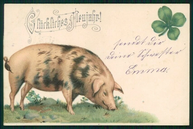 Maialino Pig Four Leaf Clover Happy New Year postcard TC3626