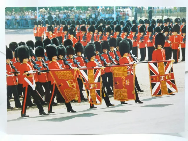 Presentation of Colours 1st & 2nd Battalion Grenadier Guards London Vtg Postcard