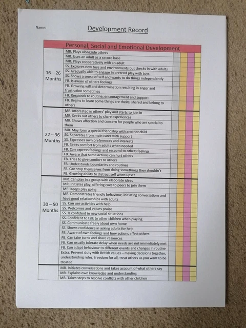 🎉1 YEAR SALE 🎉EYFS Assessment Reference Tool Checklist Development ...