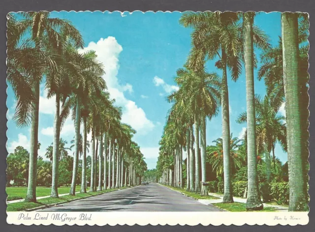 PALM LINED MCGREGOR BLVD Postcard Royal Palms Scalloped Edge Ft Myers Florida