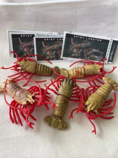 Yowie series 1 - Spiny Lobster with papers