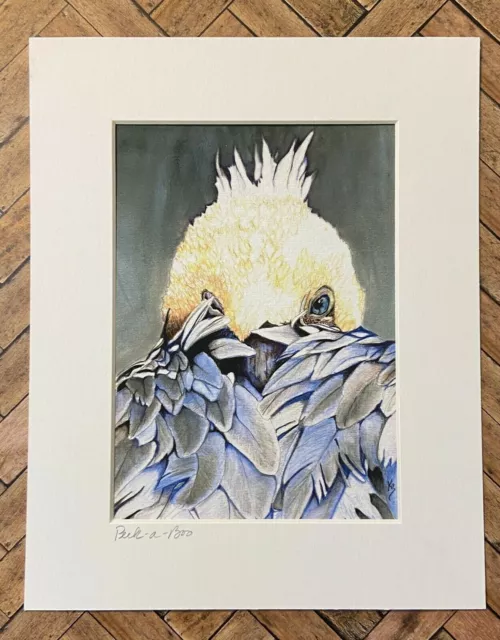 Fine Art Water Color Print Brown Pelican Bird Matted 8x10 Giclee By Artist 🐉