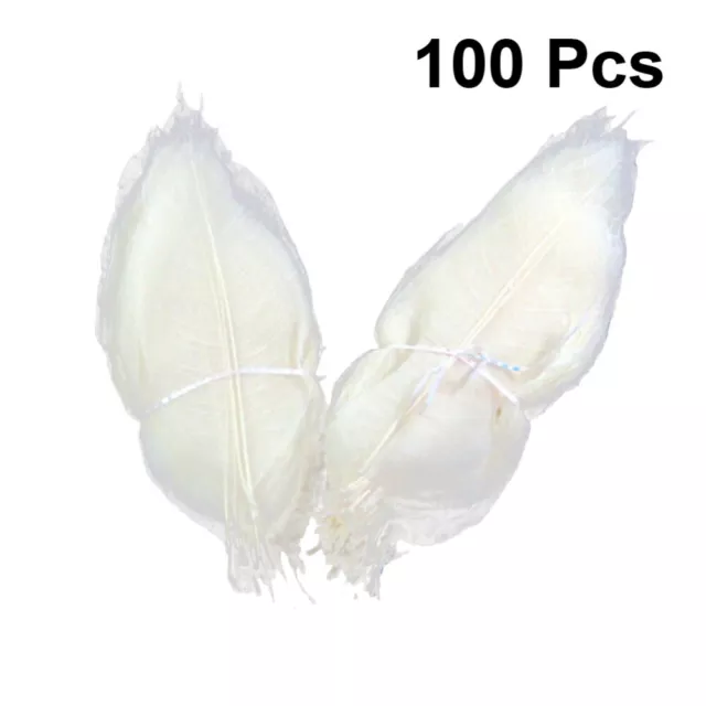 100pcs wedding decor Dried Leaf Specimen Leaf Veins DIY Leaf Vein