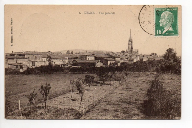 DELME Moselle CPA 57 vue generale de la commune