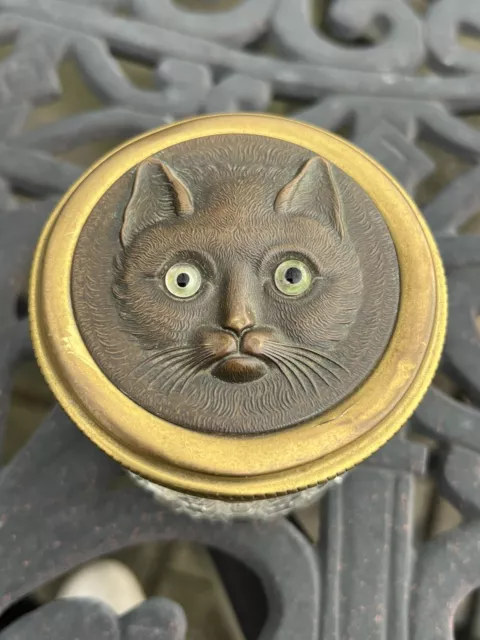 Antique Rare Stamped Brass Cat Face Eapg Glass Eyes Dresser Box Victorian