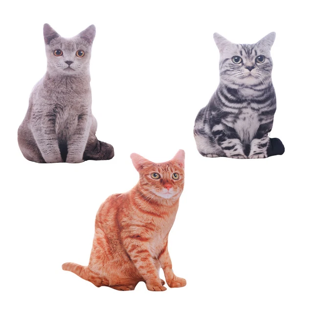 Cuscino per gatto simulato cuscino per gatto cuscino per gatto 3D cuscino per gatto
