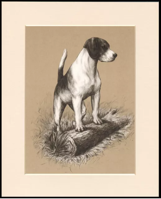 Beagle Standing Dog Lovely Print Mounted Ready To Frame