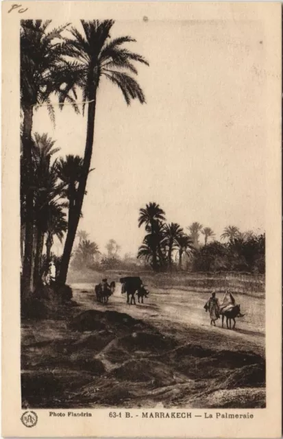 CPA AK MAROC MARRAKECH La Palmeraie Flandrin (37966)