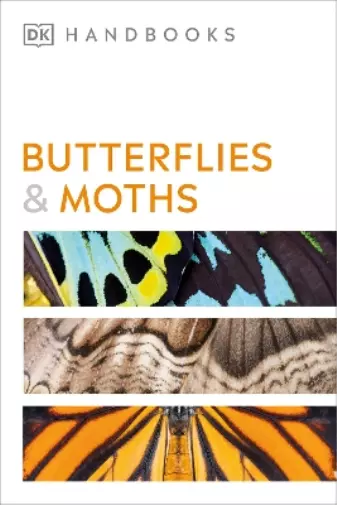 David Carter Butterflies and Moths (Taschenbuch) DK Handbooks