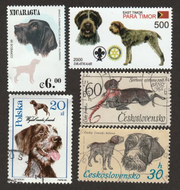 GERMAN WIREHAIRED POINTER ** Int'l Dog Stamp Art Collection **Great Gift Idea**