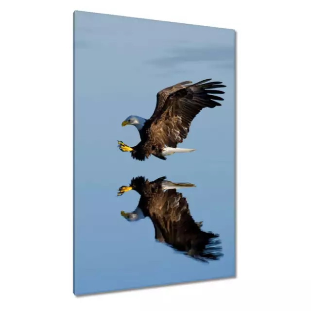 Leinwand Bild Wandbild Canvas Print Adler auf der Jagd nach Fisch Nr. H6443_PC