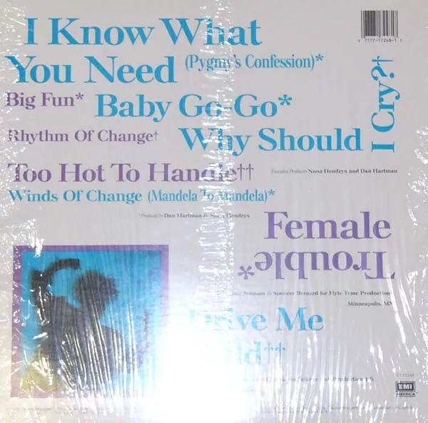 Nona Hendryx Female Trouble LP Album Vinyl Schallplatte 038 2