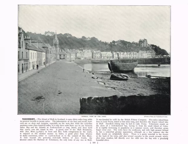 Tobermory Mull Scotland View Of The Town Antique Picture Old Print 1895 RTC#210