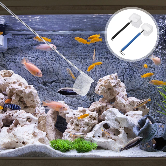 2Pcs Aquarium Fischernetz Garnelen Skimming Net Aquarium Zubehör 2