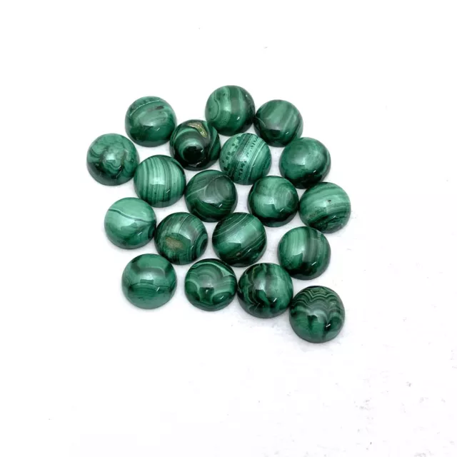 Naturel Malachite Rond Cabochon Desseré Pierre 33 Pièces 8 MM 100 CT