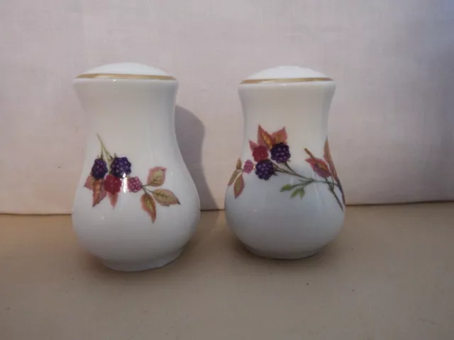 Royal Worcester Evesham Gold Salz- & Pfeffershaker 3 Zoll Hohe Original-Stollen Sehr Guter Zustand