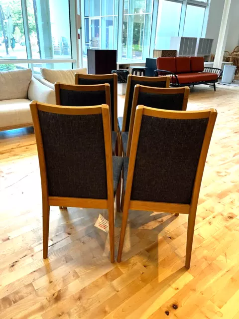 Ercol Romana Padded Back  Chairs set of six CM Oak & C685 W46 D57 H96 RRP £3660 2