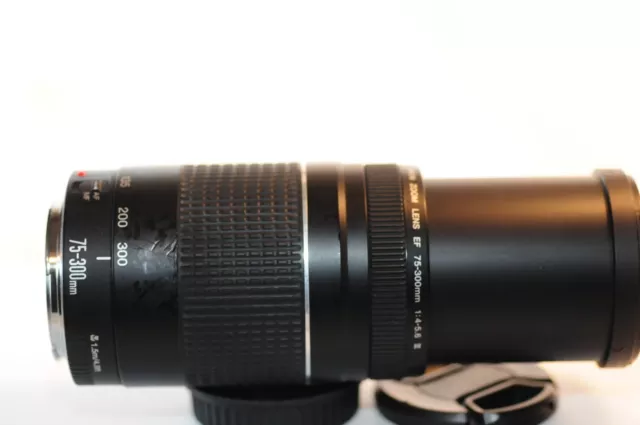 Canon EF 75-300mm f/4-5.6 III lens for EOS A2 620 Elan Rebel T8 T7 90D 80D 5D 6D 2