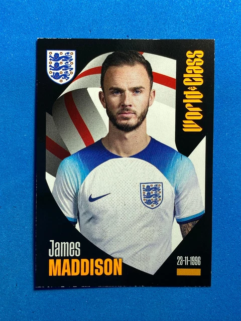 Panini FIFA World Class 2024 - Pegatinas (36 Bolsillos