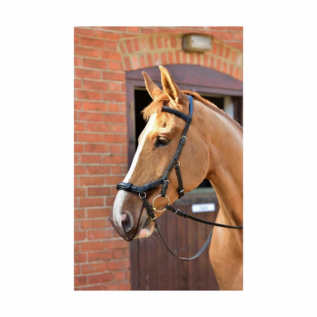 Equilibrium Net Relief Muzzle Net for Grackle or Micklem Bridles M/L