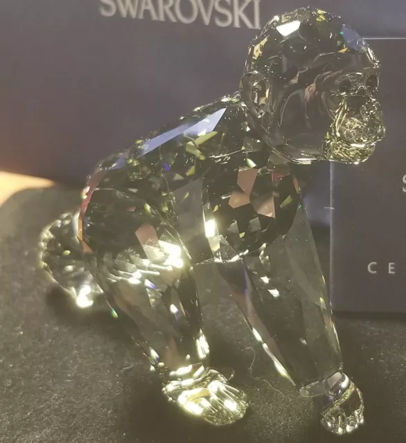 Swarovski Crystal SCS Gorilla Cub 2009 New in Box #955440 Retired