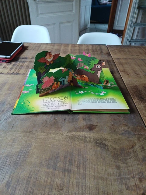 Livre jeunesse pop-up Canissou chef de clan - Livres