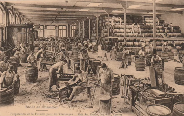 CPA 51 EPERNAY MOET & CHANDON Harvest Futile Preparation