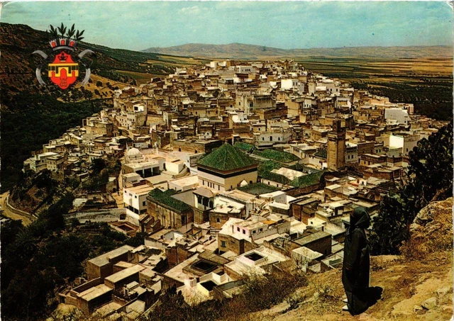 CPM AK Moulay Idriss - the Saint and Arms of Meknes MOROCCO (880992)