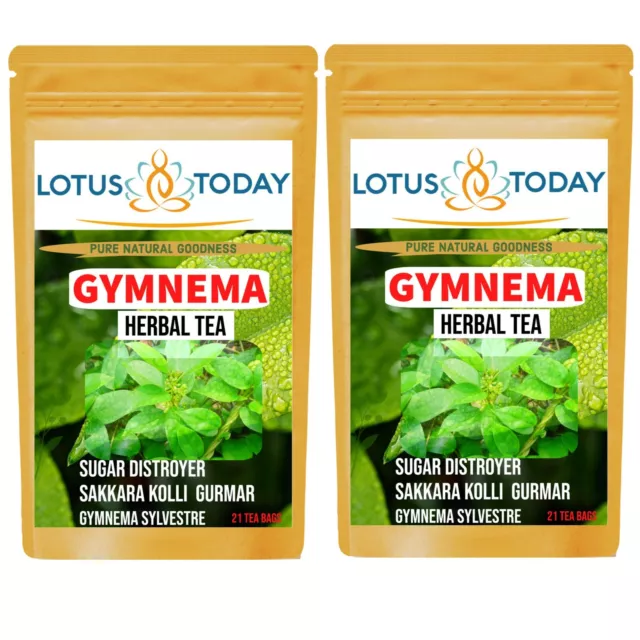 Té de hierbas Lotusttoday puro Gymnema Gurmar hoja dieta diabética 63 bolsas de té 2