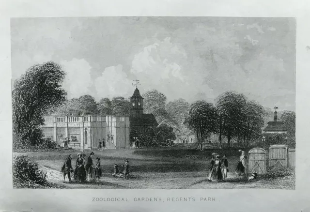 1851 Antique Print; Zoological Gardens, Regent's Park, London