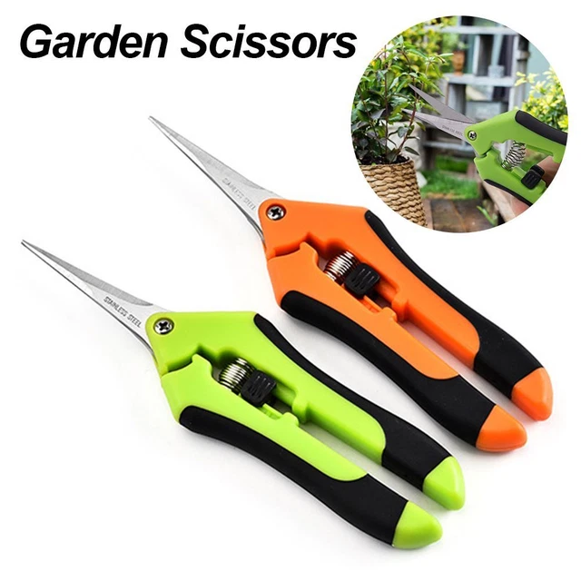 Outils à main Ciseaux de jardin Pruneur greffage Outil de greffage de jardin