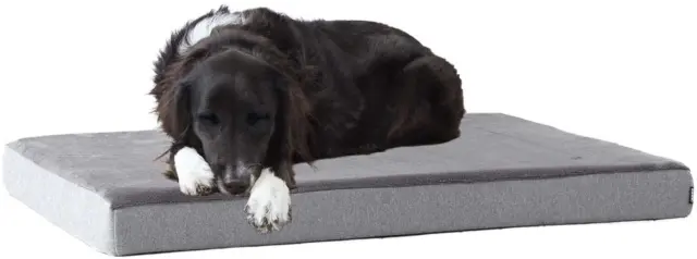 Memory Foam Platform Dog Bed | Plush Mattress for Orthopedic Joint Relief (Large