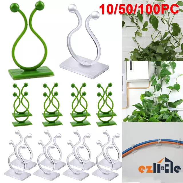 10/50x Invisible Plant Climbing Wall Clip Sticky Hook Vines Fixing Rattan Clips