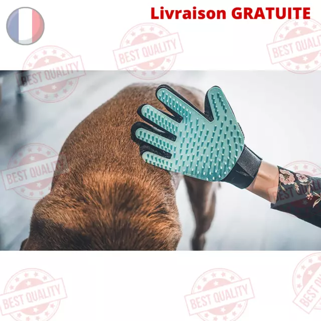 Gant Brosse ,Brossage, Ramasse poils,Toilettage, pour Chien ou Chat