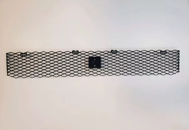 JDM Nissan R34 Skyline GTR Front Upper Mesh Grille 62256-AA410 NEW OEM JDM Nissan R34 Skyline GTR Front Upper Mesh Grille 62256-AA410 NEW OEM