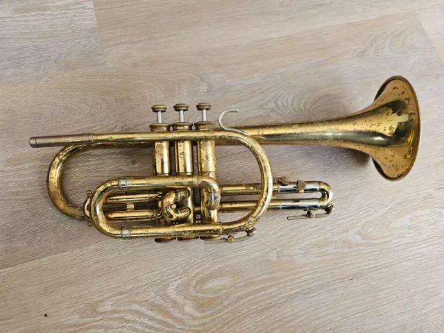 Holton Collegiate Kornet / Cornet