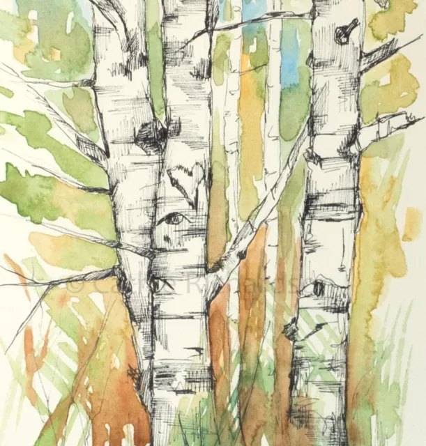 Autumn Trees Original Watercolor Painting Aspens Pen and Ink Art Plants