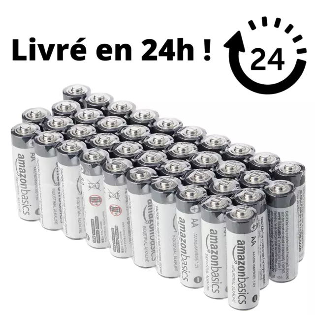 Lot de 40 piles Alcalines AA industrielles Haute Performance Longue Durée de Vie