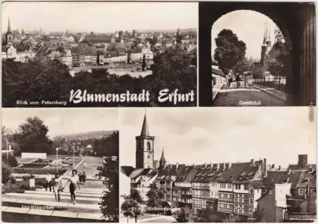 Erfurt Blick vom a über die Stadt, Domblick, iaa-Irisgarten, Krämerbrücke 1976 2