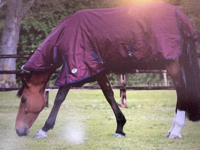 JHL 200g mediumweight combo turnout rug