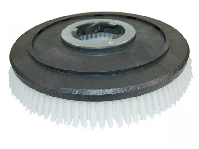 Scrubbing Brush - Middle Nilfisk-Alto Ssb 430 / Size 430 - Bristle Poly 0,75