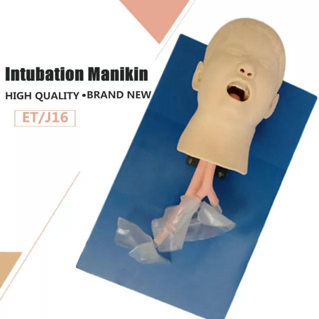 Intubation Manikin Study Teaching Training Model Airway Management Trainer USA