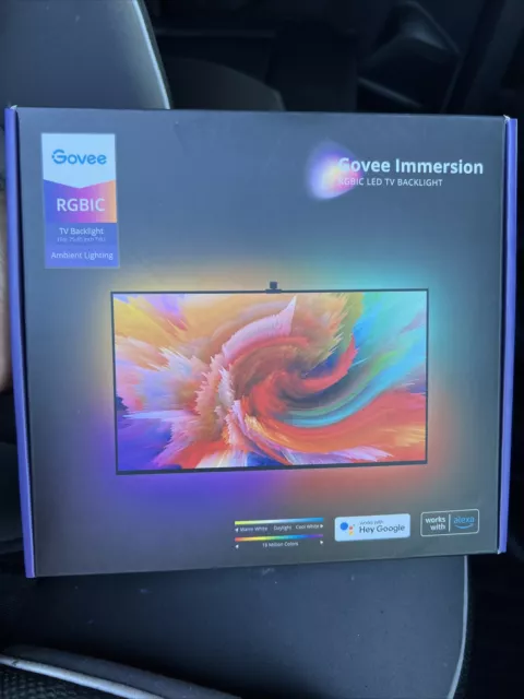 govee immersion rgbic